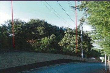 山梨县南巨摩郡富士川町的拍卖：24 万日元 1593 平方米的农田