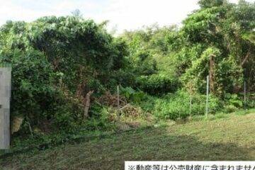 Vente aux enchères du village de Kitanakajo, Nakagami-gun, préfecture d'Okinawa : 1,36 million de yens, 572 mètres carrés de terres agricoles