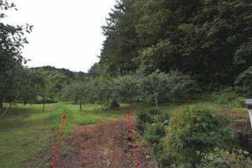 Auction in Sannohe-machi, Sannohe-gun, Aomori Prefecture: 60,000 yen for 1,378 square meters of farmland