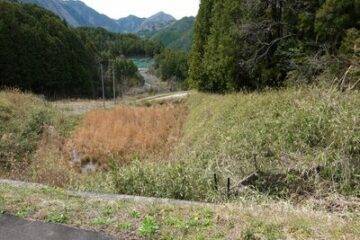 岐阜县加茂郡白川町的拍卖：4 万日元 1202 平方米农田