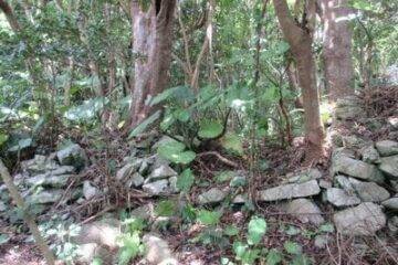 Vente aux enchères dans la ville de Motobu, Kunigami-gun, préfecture d'Okinawa : 300 000 yens, terrain de 593 mètres carrés