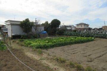 Auction in Anjo City, Aichi Prefecture: 770,000 yen for 341 square meters of farmland