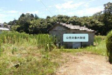 大阪府泉南郡岬町競売 173万円 農地 1147平方メートル