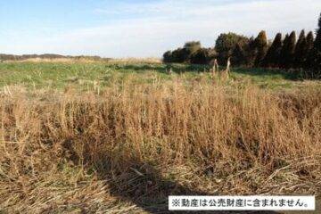 千叶县八千代市的拍卖：42 万日元 1782 平方米农田