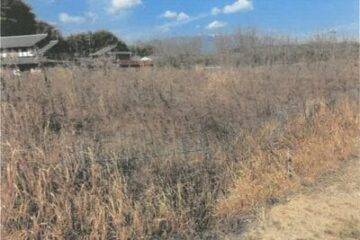 Vente aux enchères dans la ville d'Otsu, préfecture de Shiga : 965 mètres carrés de terres agricoles pour 320 000 yens