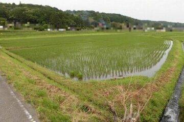 枥木县那须乌山市的拍卖：7.3 万日元 农田 1367 平方米