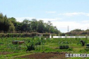 神奈川县平冢市的拍卖：37 万日元 农地 330 平方米