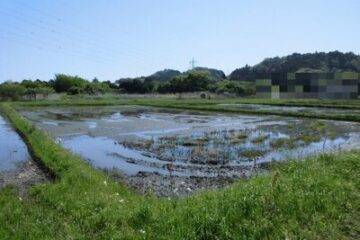 千叶县夷隅市的拍卖：12 万日元 农地 1579 平方米