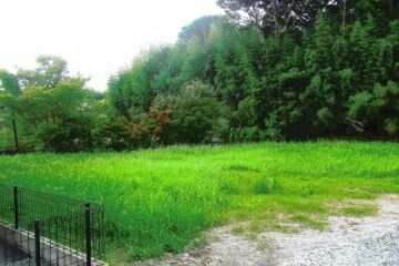 Auction in Omaezaki City, Shizuoka Prefecture: ¥2.99 million Land 482 square meters