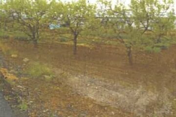 Auction in Nakano City, Nagano Prefecture: 530,000 yen, 1,480 square meters of farmland