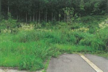 Auction in Minamiuonuma City, Niigata Prefecture: 220,000 yen, land 325 square meters