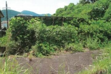 和歌山県西牟留郡上田田町 土地 327㎡ 185万円