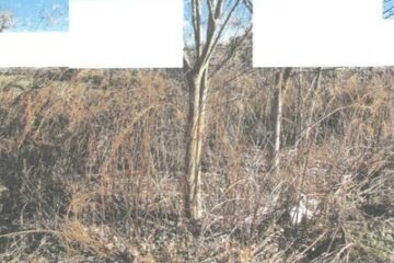 Furukawa City, Ibaraki Prefecture 870,000 yen Farmland 248m2
