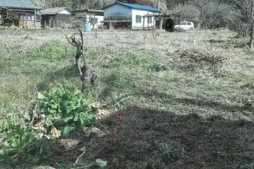 Gifu Prefecture Seki City 140,000 yen Farmland 396 square meters