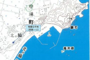 31万円、徳島県阿南市の農地547平方メートル