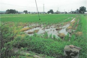 Namerikawa City, Toyama Prefecture 300,000 yen farmland 1,767 square meters