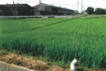 Nishio City, Aichi Prefecture 210,000 yen 531 square meters of farmland