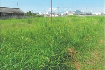 奈良县樱井市 91 万日元 农地 964 平方米