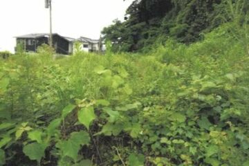 Beppu City, Oita Prefecture 12.254 million yen Land 4593 square meters