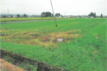 340,000 yen Agricultural land 2,819 square meters in Namerakawa City, Toyama Prefecture